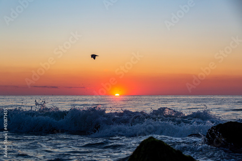 A shore bird flies over waves crashing onto the beach at sunrise photo