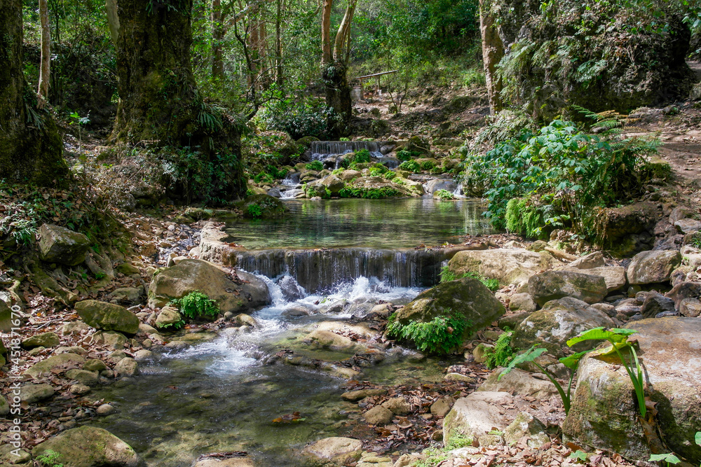 Río en la Sierra Gorda de Querétaro.