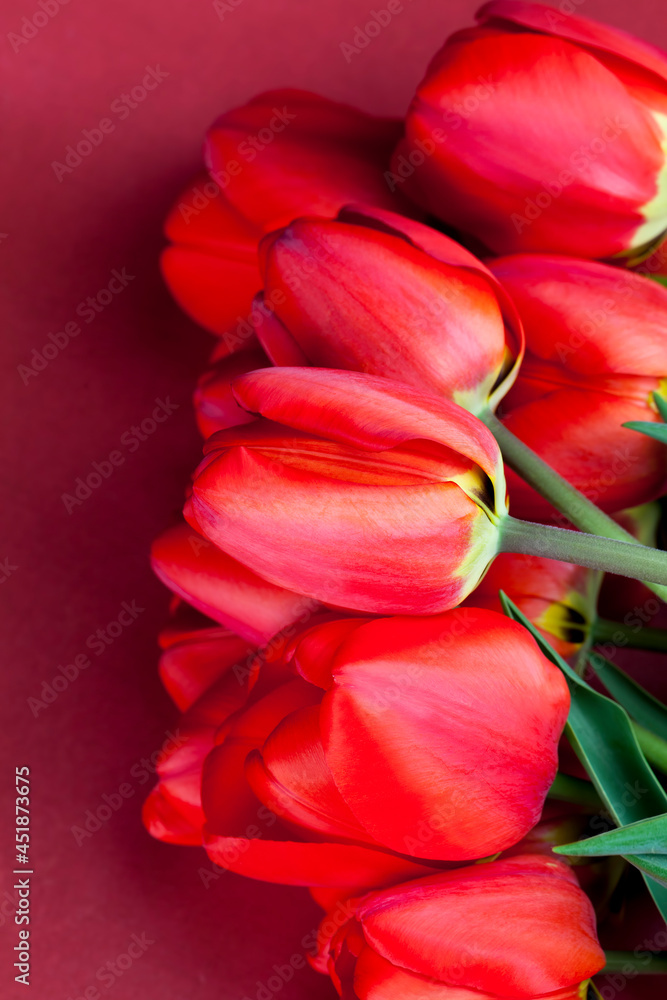 a bouquet of red tulips in the spring season a bouquet of red tulips in the spring season