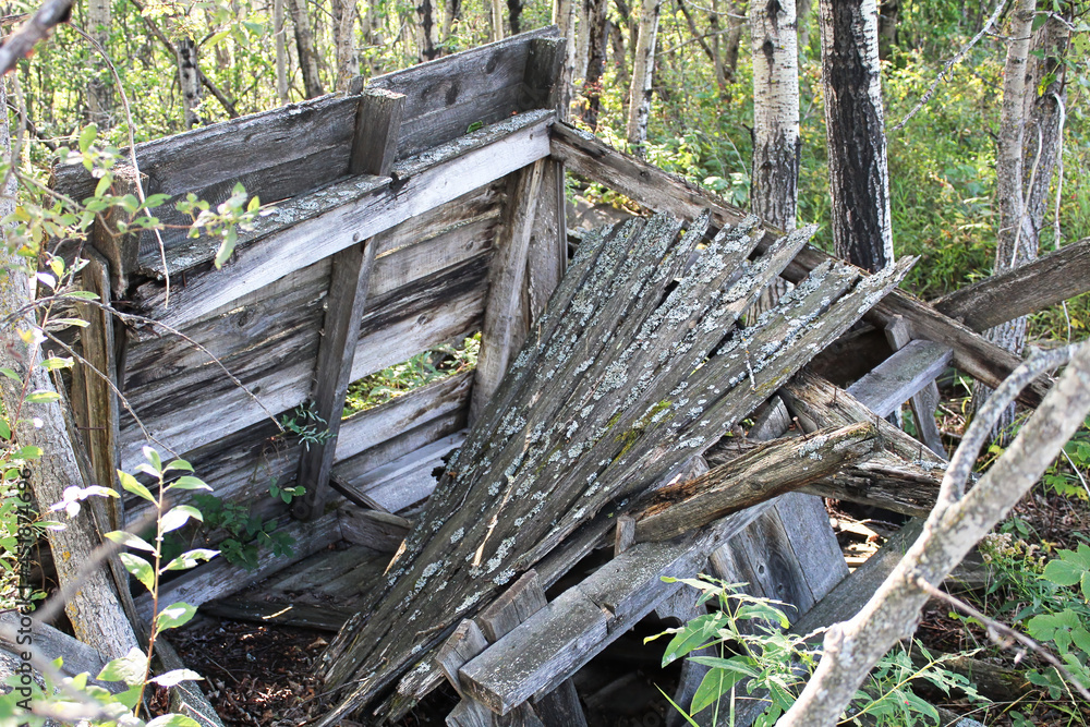 An old wooden stucture falling apart in the forest