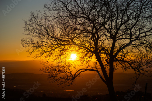 Sun setting through tree branches in winter on a clear day