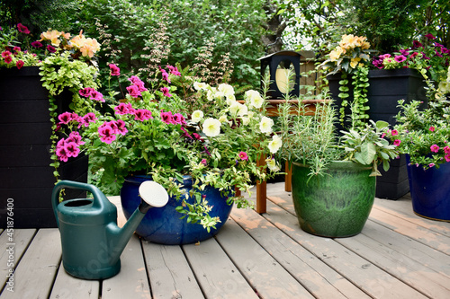 Garden tools and watering can with summer flowering planters in full bloom in lush landscaped garden backyard oasis photo