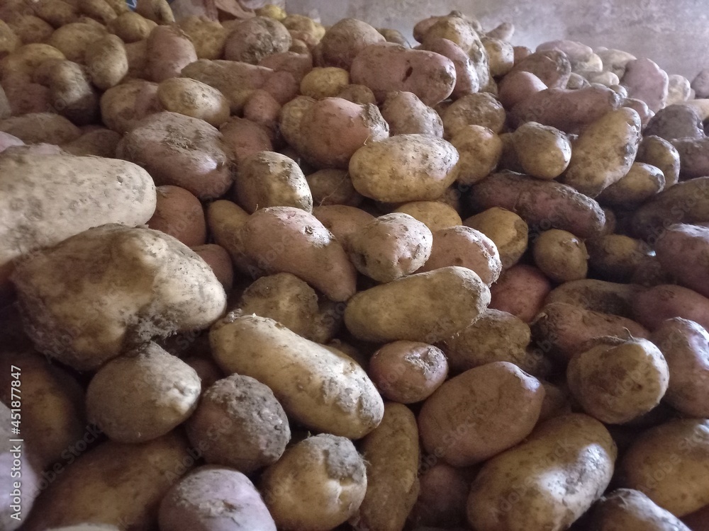 Close shot of a heap of potatoes Close shot of a heap of potatoes