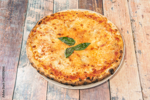 Family Pizza Cooked with Four Cheese Recipe, Oregano and Basile Baked and Ready to Eat