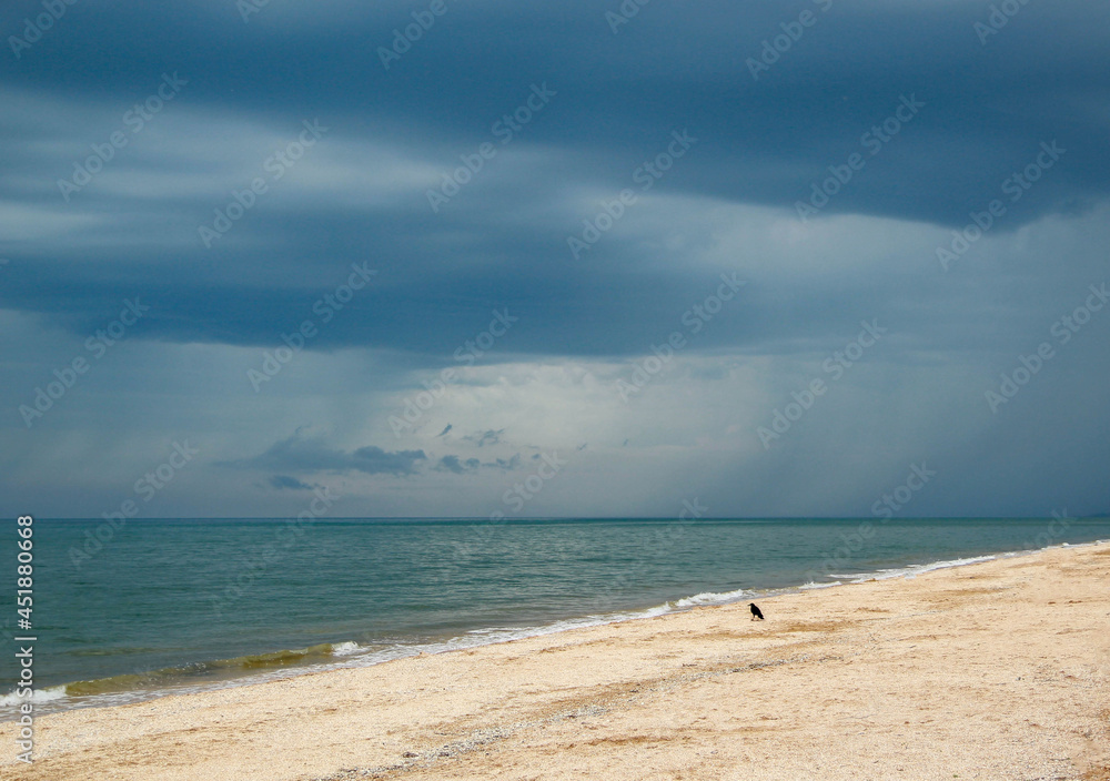 The sea before a thunderstorm, bright sand and blue sky against the background of dark clouds, a black raven walks by the sea