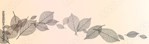Beautiful background with leaves vein. Vector illustration.