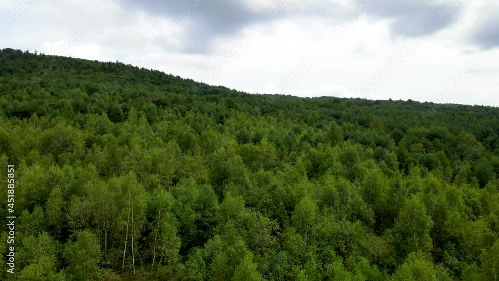 Harz forest densely planted top view flying drone coniferous deciduous green beautiful view Harz forest densely planted top view flying drone coniferous deciduous green beautiful view