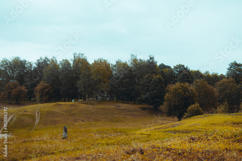 autumn in the forest