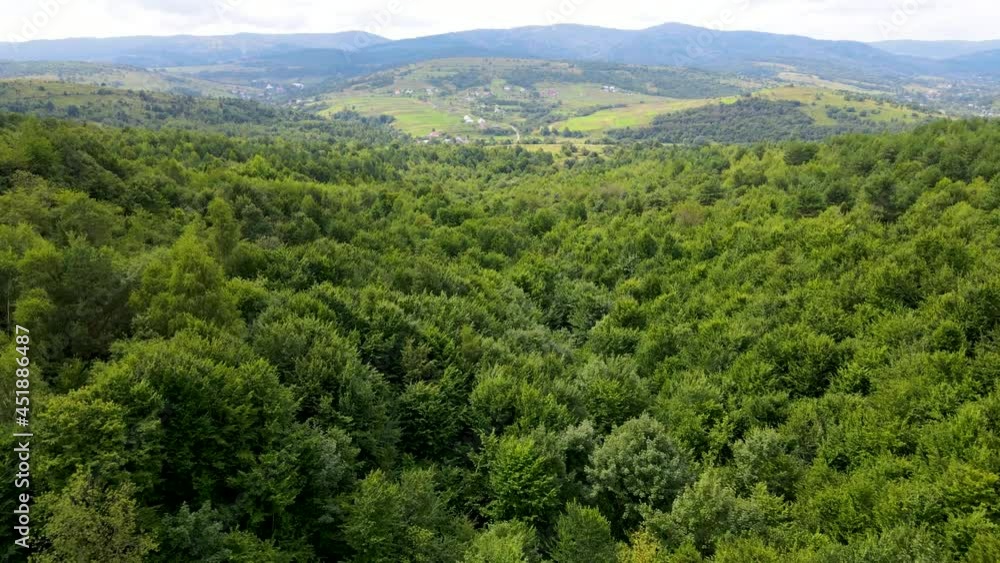 Harz forest densely planted top view flying drone coniferous deciduous green beautiful view Harz forest densely planted top view flying drone coniferous deciduous green beautiful view