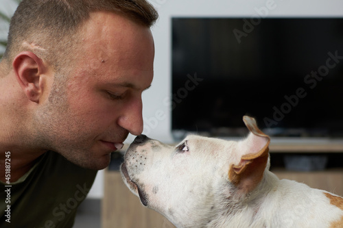 Man with a brown and white american staffordshire terrier dog giving a treat with his mouth