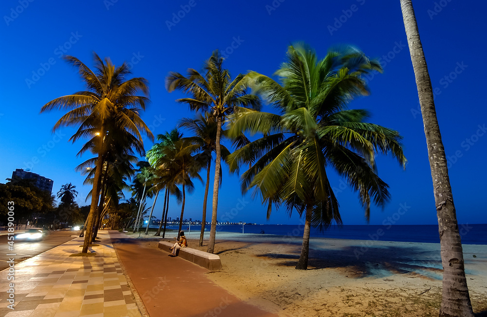 Joao Pessoa, Paraiba, Brazil, on November 5, 2004. coconut grove on Cabo Branco beach in the evening.