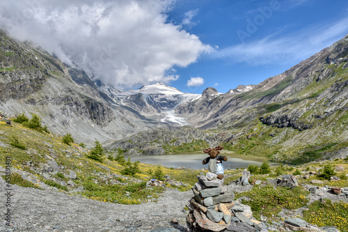 Sandersee, Großglockner, See, Gletscherwasser, Elch, Stofftier, wild, Kuscheltier, Steinmännchen, Steine, Geweih, mächtig, Schmelzwasser, Kaiser-Franz-Josefs-Höhe, Pasterze, Johannisberg, Gletscher, K photo