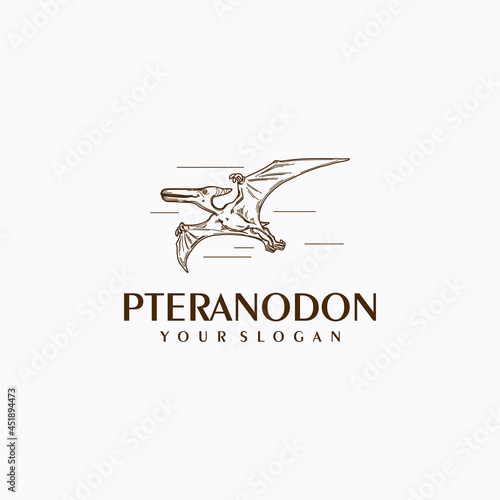 pteranodon logo with line art, logo reference