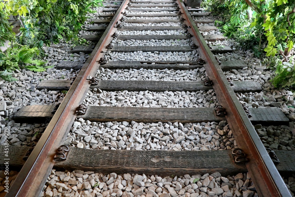 Fototapeta premium railroad tracks in the forest