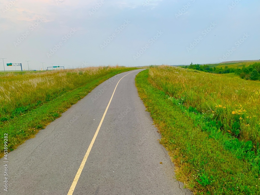 Naklejka premium road in the field
