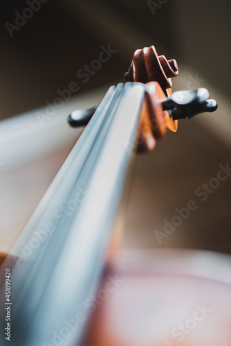 Voluta, cravelha, espelho e cordas de um violoncelo. photo