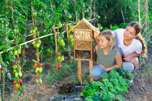 Young mother took her daughter out to the countryside for the weekend beside insect hotel in kitchen garden.