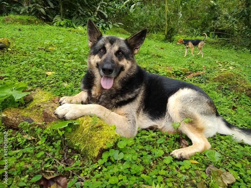 Obraz na plátně Parro