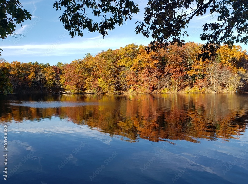 Pond in Fall