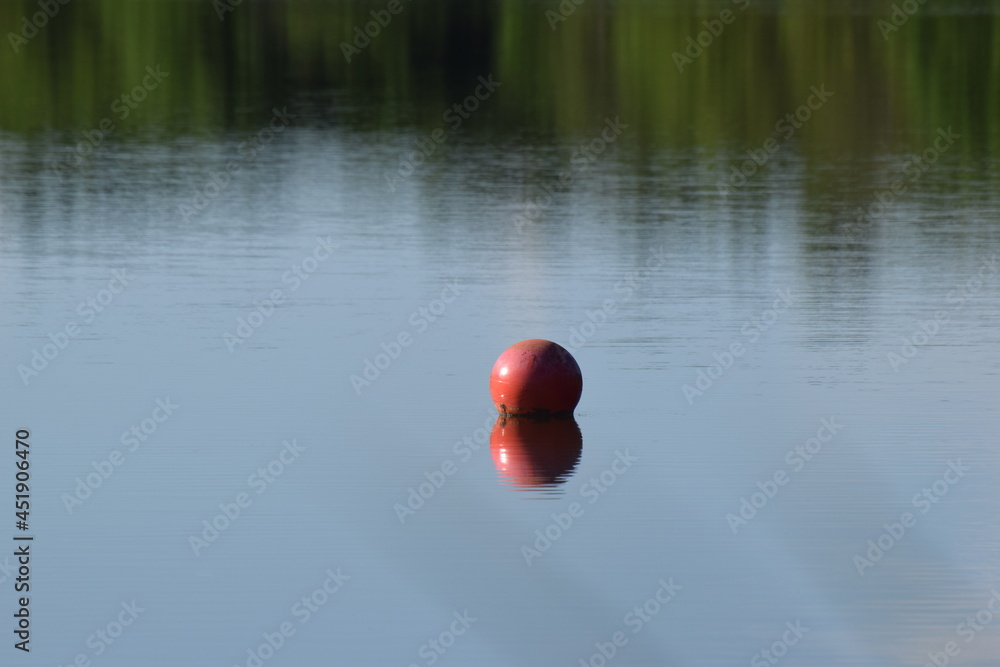 IT