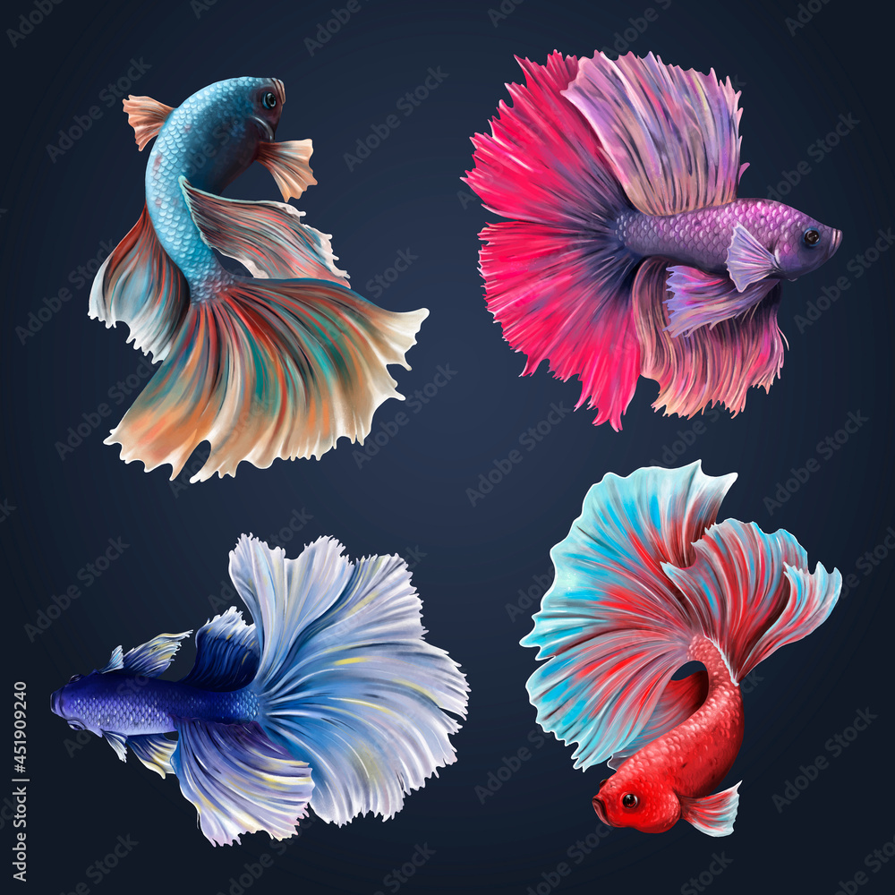 Beautiful betta fish collection vector Beautiful betta fish collection vector