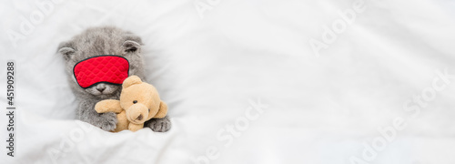 Cozy scottish kitten hugs toy bear and sleeps in sleeping mask under blanket on a bed at home. Top down view. Empty space for text