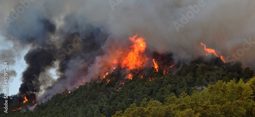 Wildfire in the forest near a resort town.Marmaris, Turkey. Summer 2021