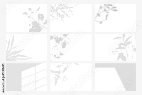 Botanical shadow on white background template vector set