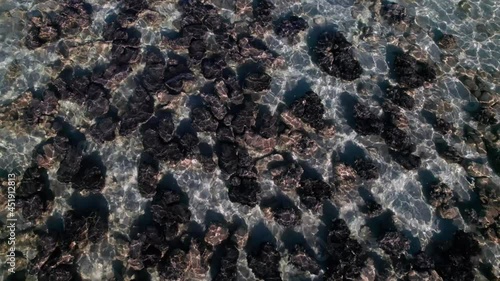 Aerial of stromatolites turquoise water of Word Heritage Shark Bay in WA photo