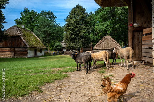 Stara polska wieś. Chaty pokryte strzechą. Wiejskie klimaty. © Arkadiusz Baczyk