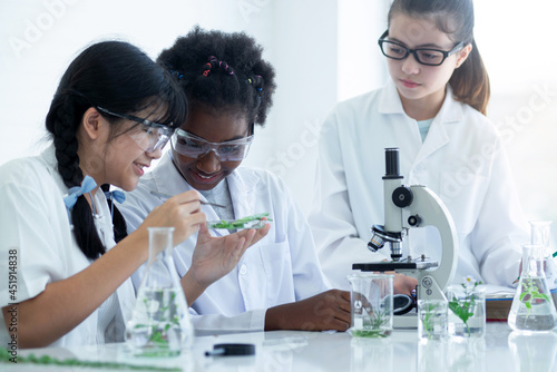 Three friends of different religions in plant biology lab, diversity and international friendship