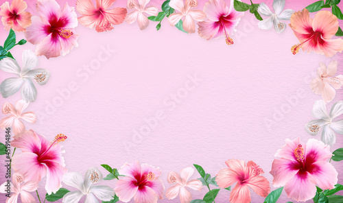 Beautiful tropical flowers  Hibiscus flowers and leave border or frame on pink paper background.with copy space