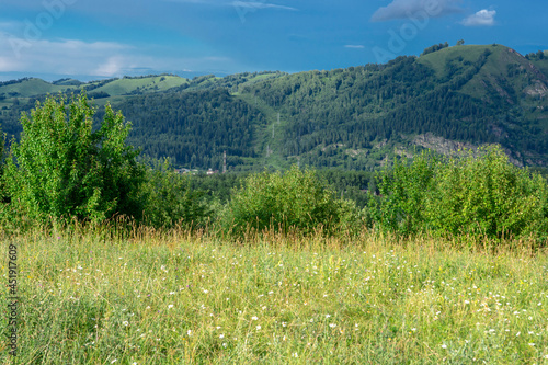 mountain peaks and mountain valley with green trees © Вячеслав 