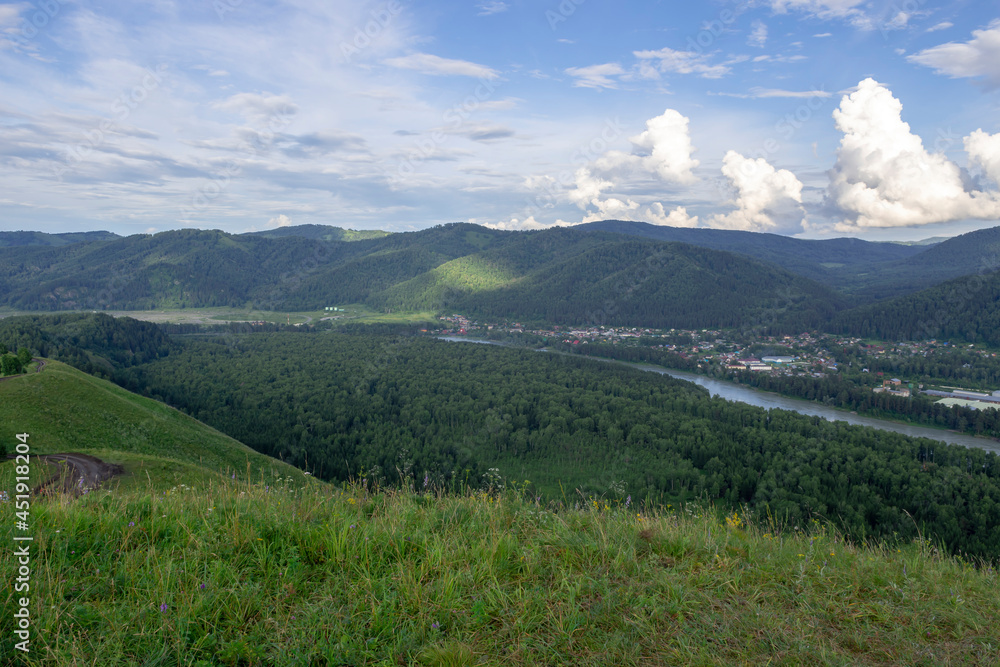 Fototapeta premium green trees and river in a mountain valley