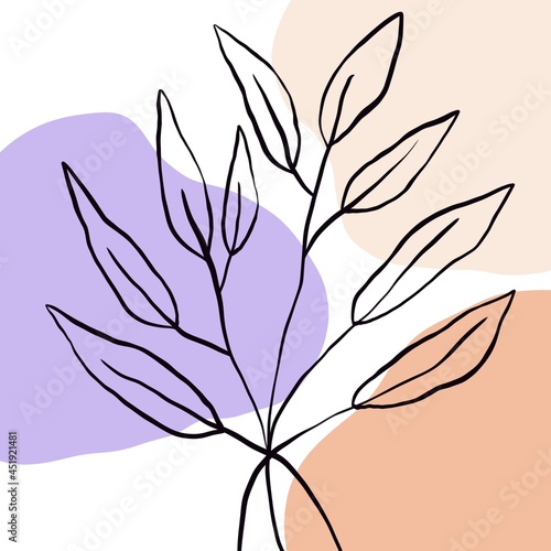 simple illustration of tropical leaf
