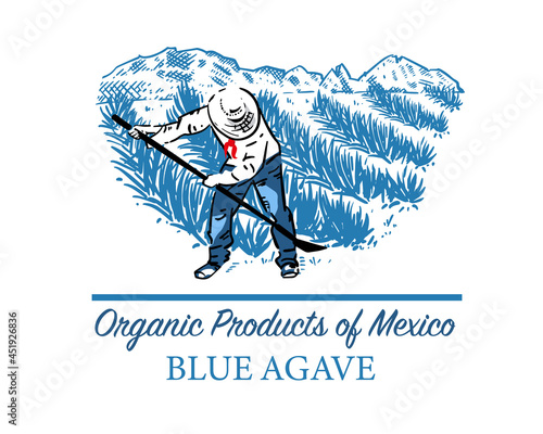 Mexican colored landscape with fields of blue agave and farmer. Organic plant for tequila and other products. Vector illustration for design of emblems, logo.