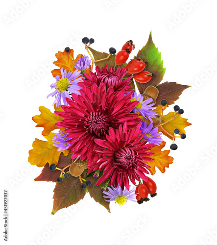 Red and purple aster flower...