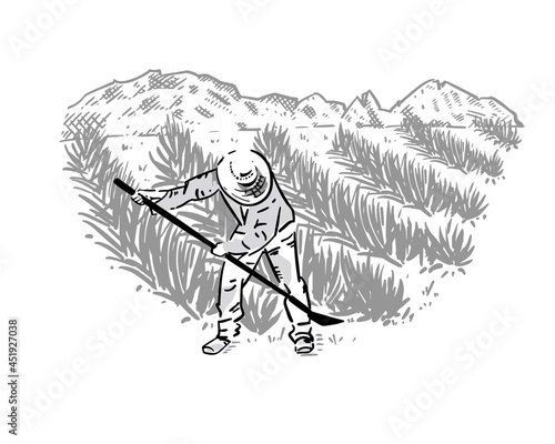 Mexican landscape with fields of blue agave and farmer. Organic plant for tequila and other products. Vector illustration for design of emblems, logo.