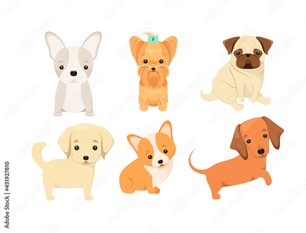 A set of puppies of different breeds on a white background. Cartoon-style dogs. French bulldog, Yorkshire terrier, pug, corgi, dachshund, golden retriever.
