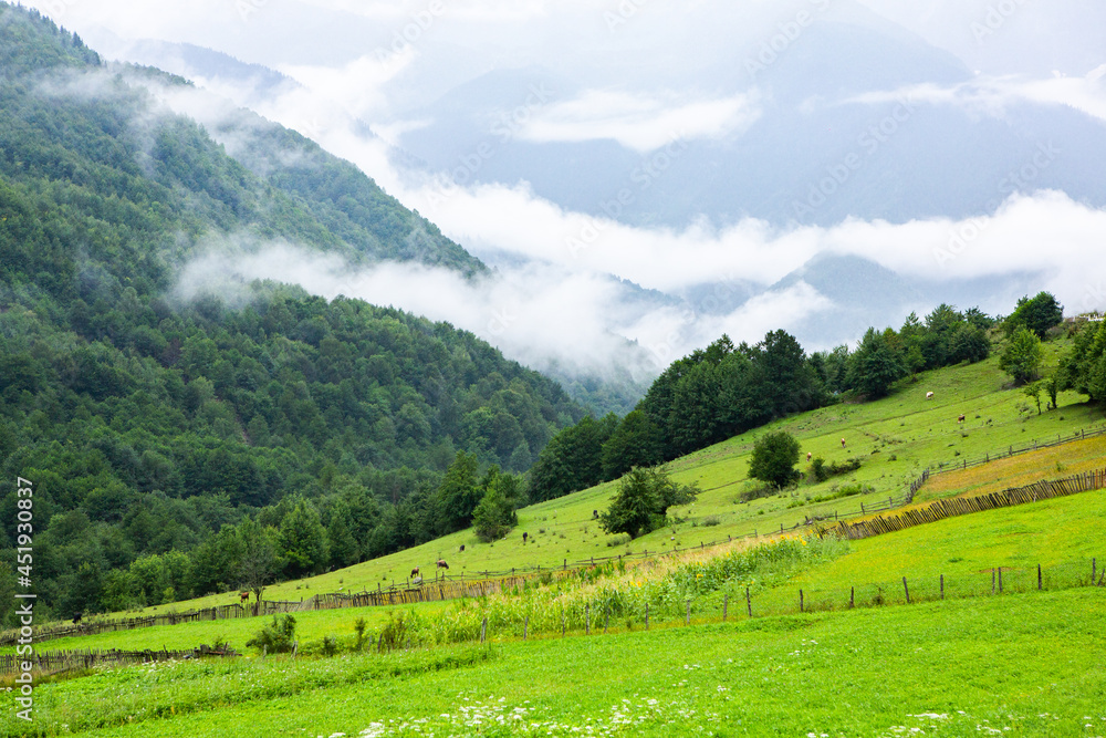 Obraz premium A beautiful landscape photography with Caucasus Mountains in Georgia.