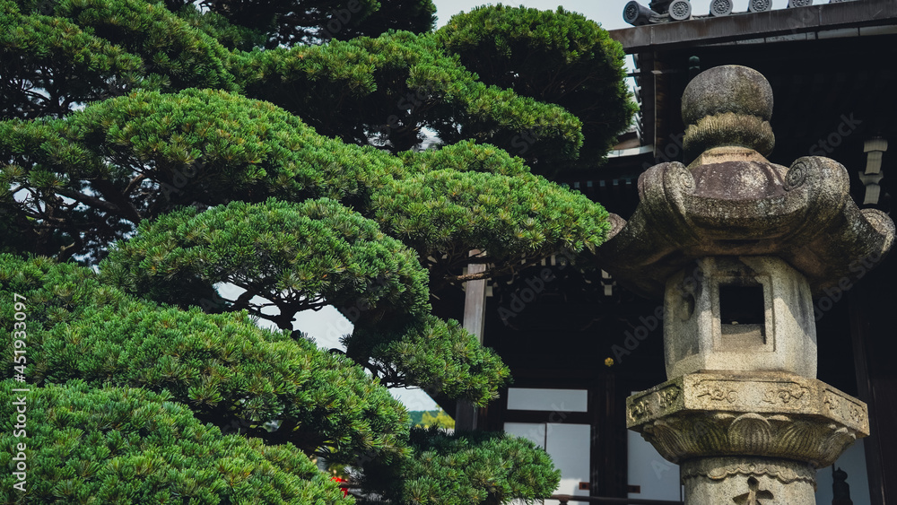 Japan tourism Asia temple garden water forest Japan tourism Asia temple garden water forest