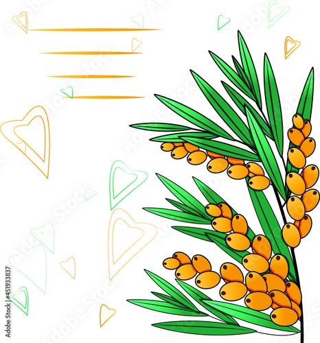 card with sea buckthorn berrie
