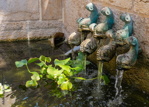 The Church of the Multiplication of the Loaves and the Fishes, Tabha, Israel. Fountain with bronze fishes. photo