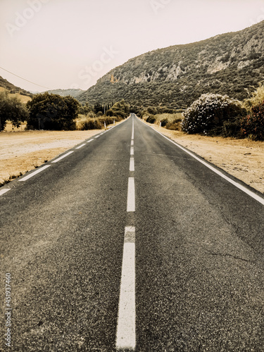 Vertical composition long straight asphalt road in wild mountain outdoors - travel and destination concept - white line and no end feeling