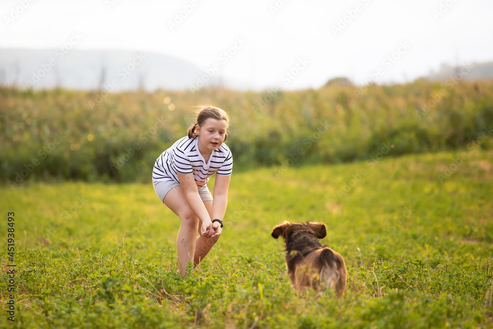Girl training her dog in summer meadow in the sunset. Girl training her dog in summer meadow in the sunset.