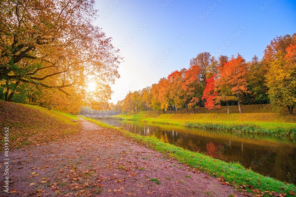 Obraz premium The alley of the autumn park . The season is autumn. September, October, November. A new season. Yellow leaves. A beautiful park. Morning light. . Nature