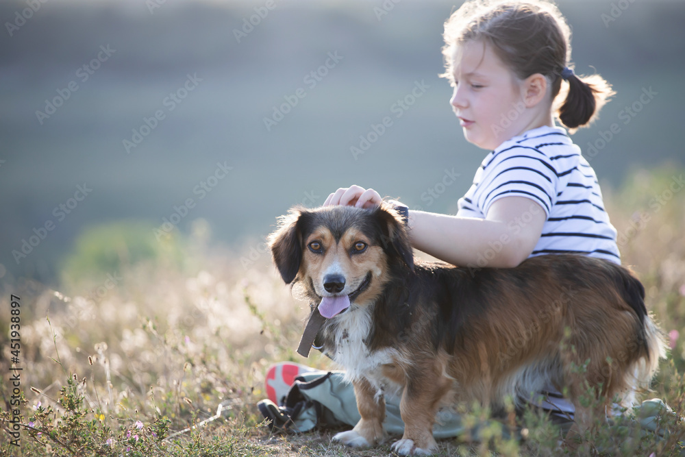 Girl sitting with her dog in summer meadow in the sunset.