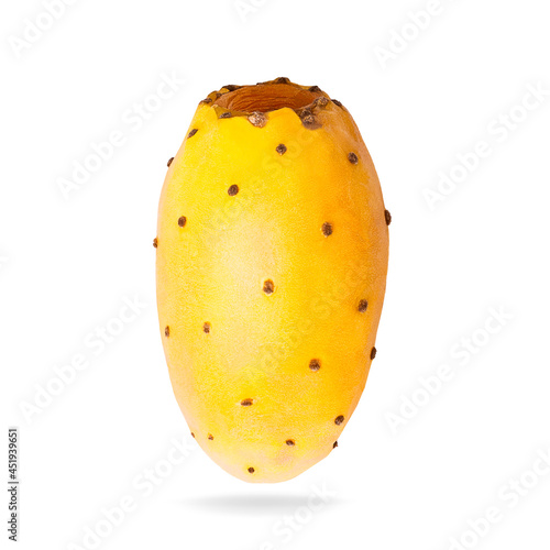 Isolated fly opuntia fruits. One whole yellow prickly pears cactus fruit on white background with clipping path