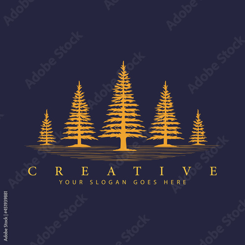 hipster line art Logo design pine evergreen fir hemlock spruce conifer emblem cedar coniferous cypress larch pine tree forest vintage retro.