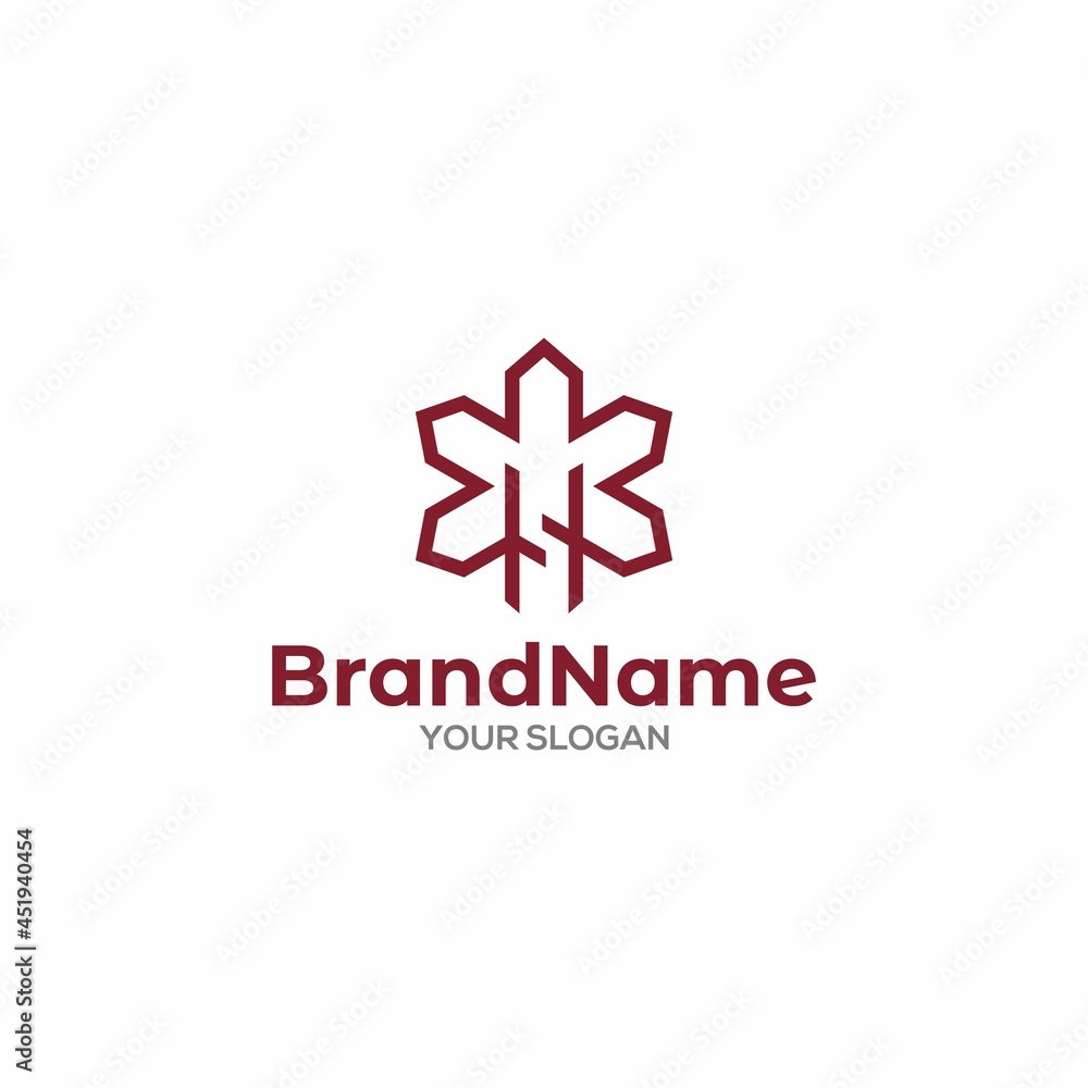 HS Asterisk Logo Design Vector HS Asterisk Logo Design Vector
